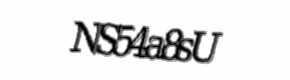 Security check image, please type the characters shown