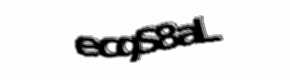Security check image, please type the characters shown