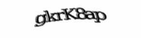Security check image, please type the characters shown