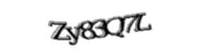 Security check image, please type the characters shown